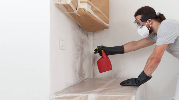 Professional Mold Cleanup technician working in Syosset, NY