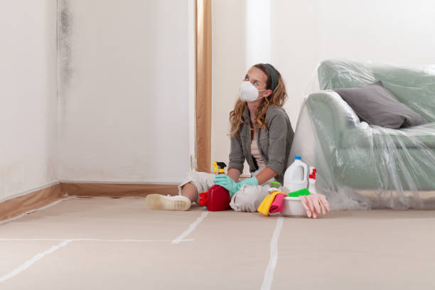 Reliable Mold Cleanup contractor in Syosset, NY by Cheap Mold Removal